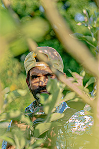 surojit-de-domenico-fotografo-51