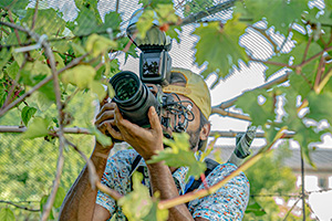 surojit-de-domenico-fotografo-70